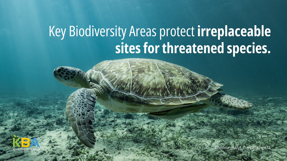 Key Biodiversity Areas tweet media