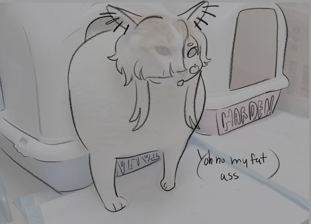 sigh i wish i was a pretty fox girl grrr