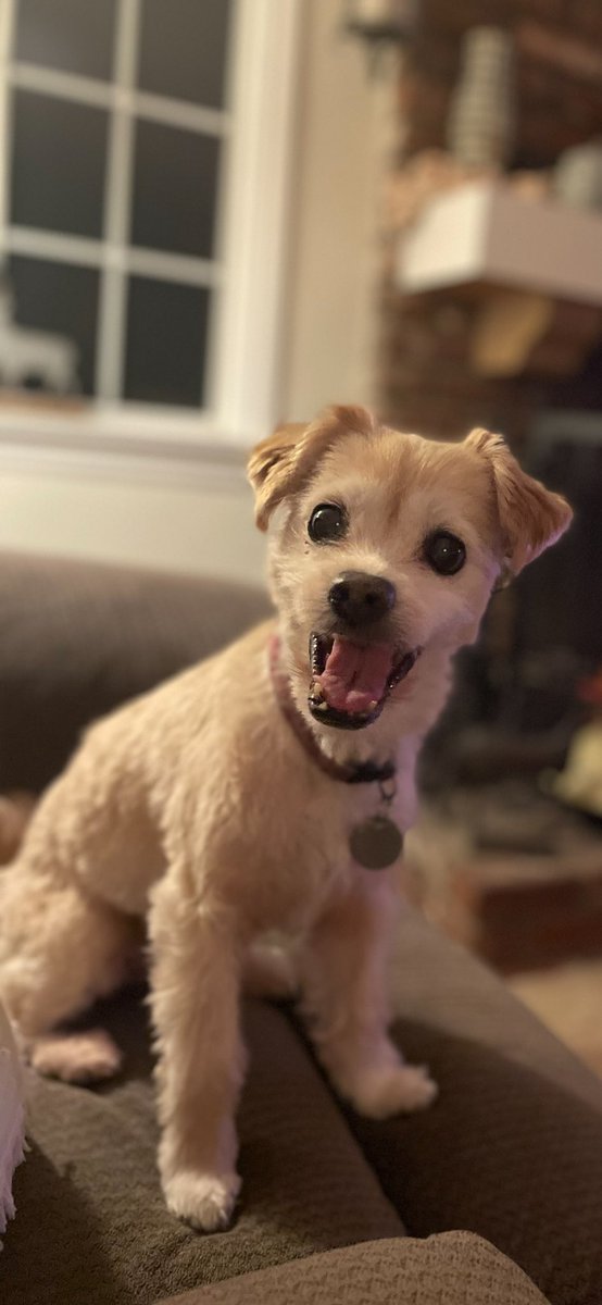 ryo 🤍 tweet media