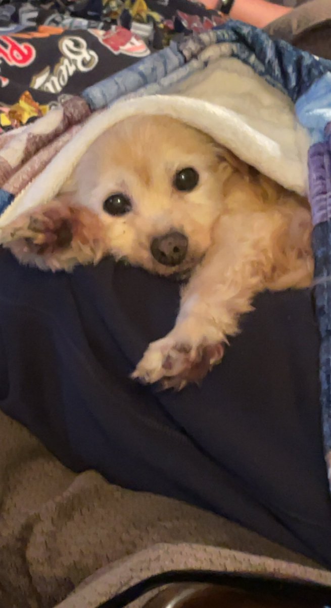 ryo 🤍 tweet media