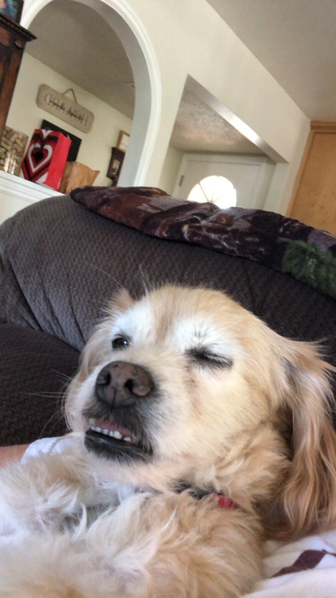 ryo 🤍 tweet media