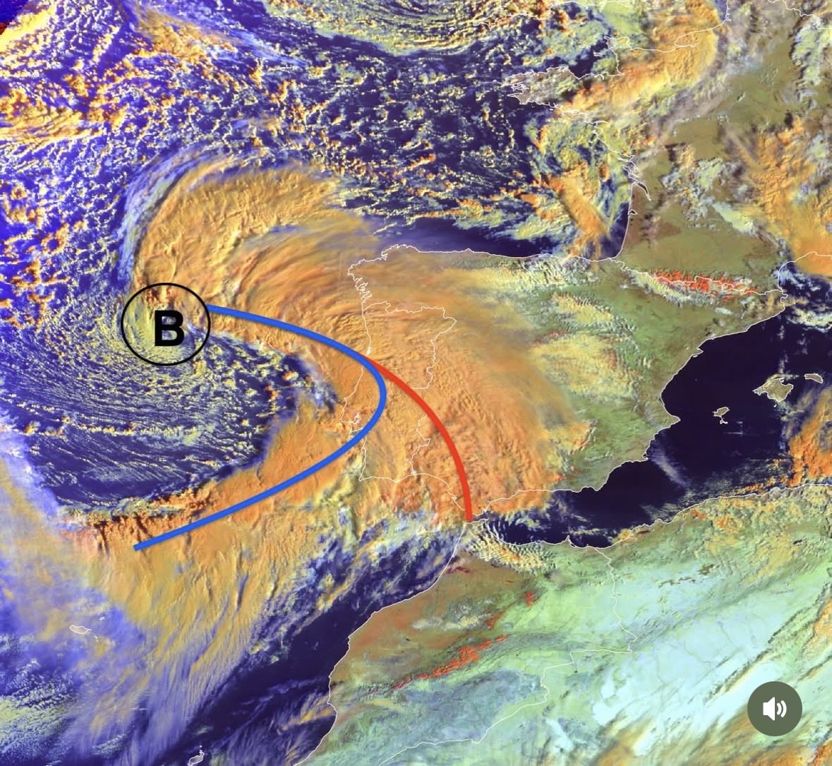 Peq. Accionistas SFC desde 1996 tweet media