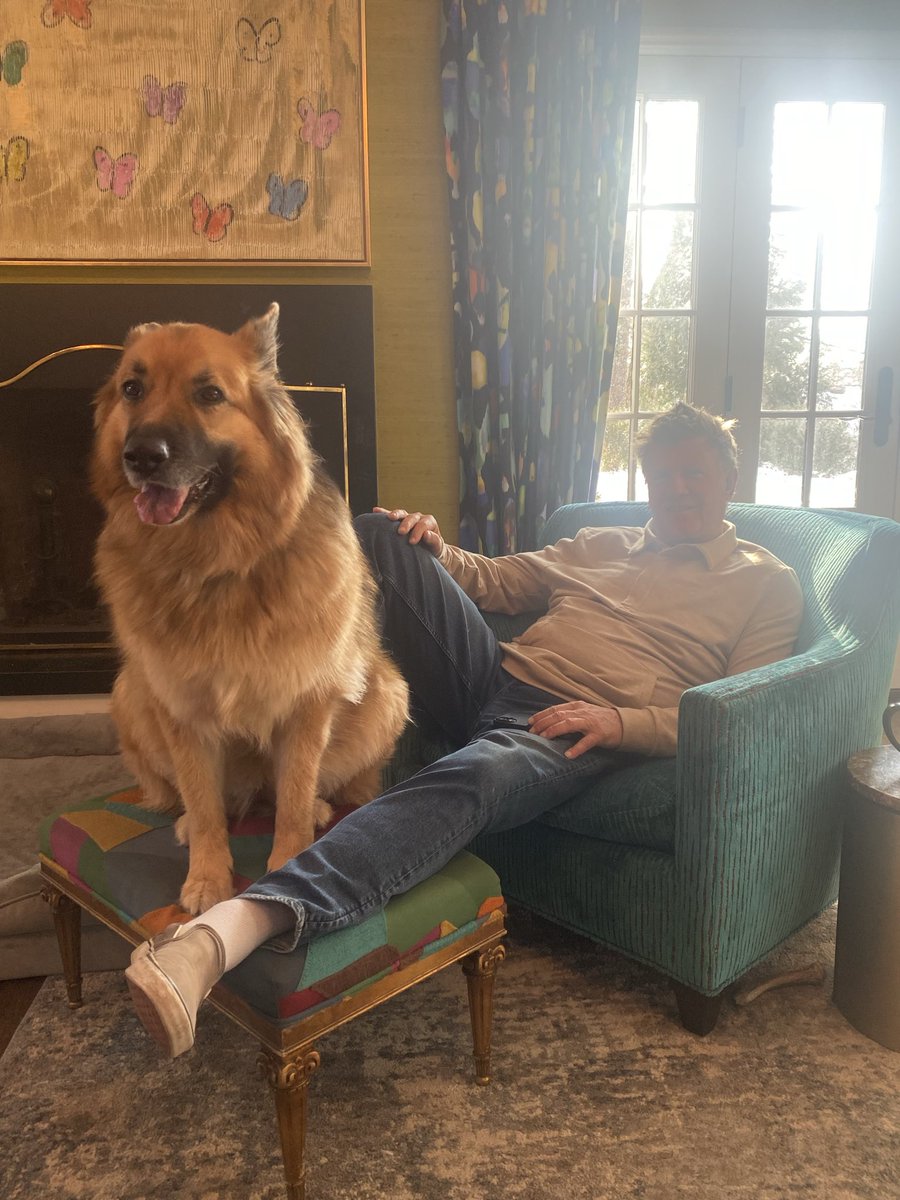 JoeSquawk's tweet image. Freddie the show dog. Begging to play fetch on the glacier in our back yard at -10 real feel.