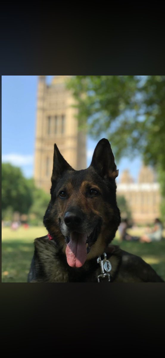 Fabulous Finn®️ tweet media