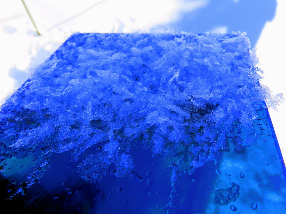 It is possible to trigger an avalanche on slopes without a stout surface crust. Slides will be most dangerous where a layer of surface hoar is buried 8+ inches deep. Snowfall tomorrow?
More at flatheadavalanche.org

📷 Mark Dundas