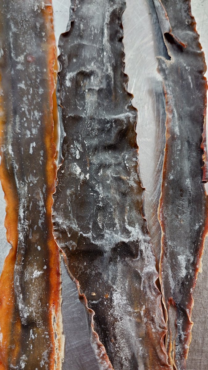 #礼文島 @ishihara_konbu  に #小浜温泉水♨️ が合う極な一夜