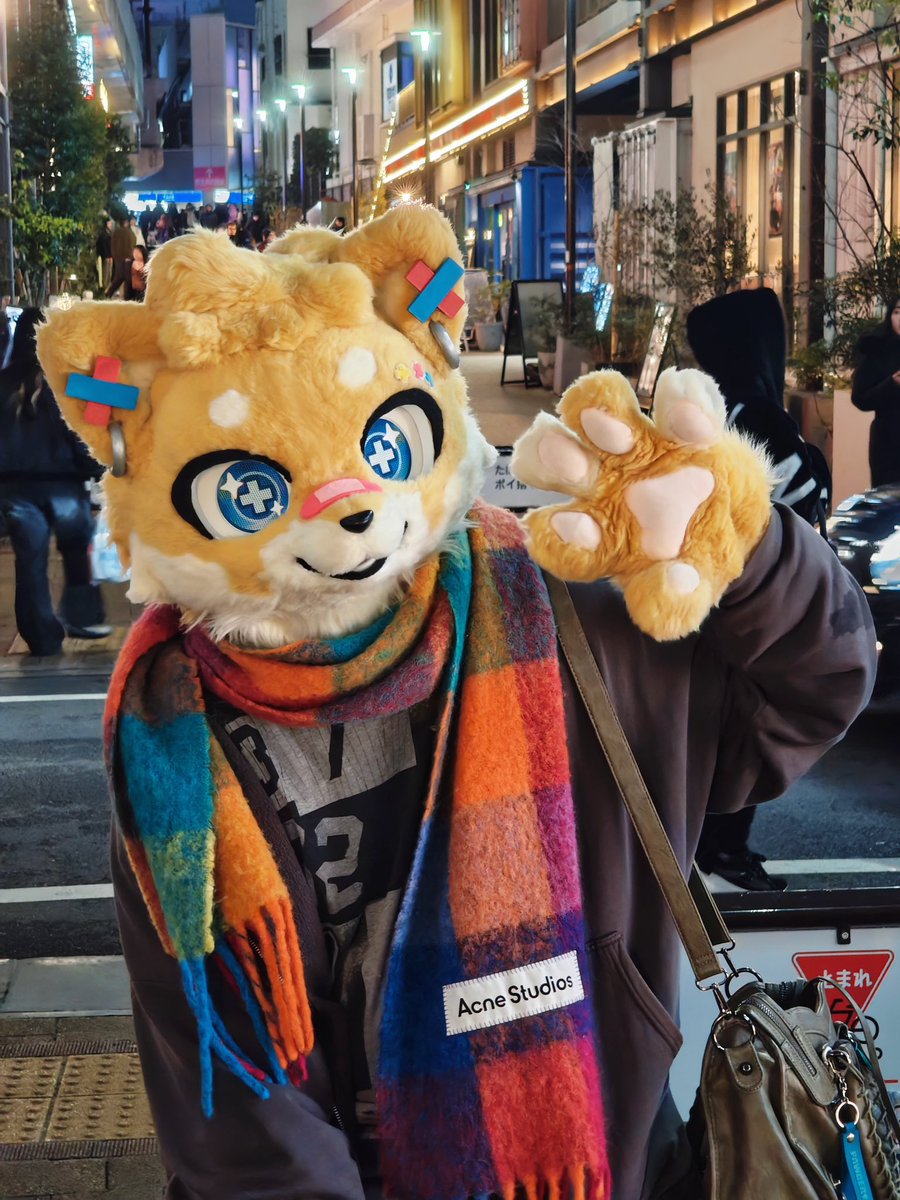 ハブちゃん➡️HiFurry tweet media