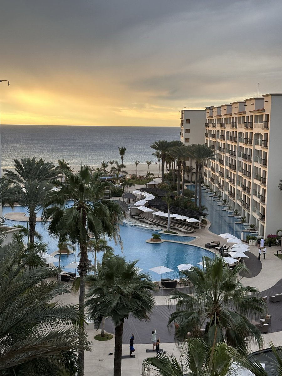 DarkMiner tweet media