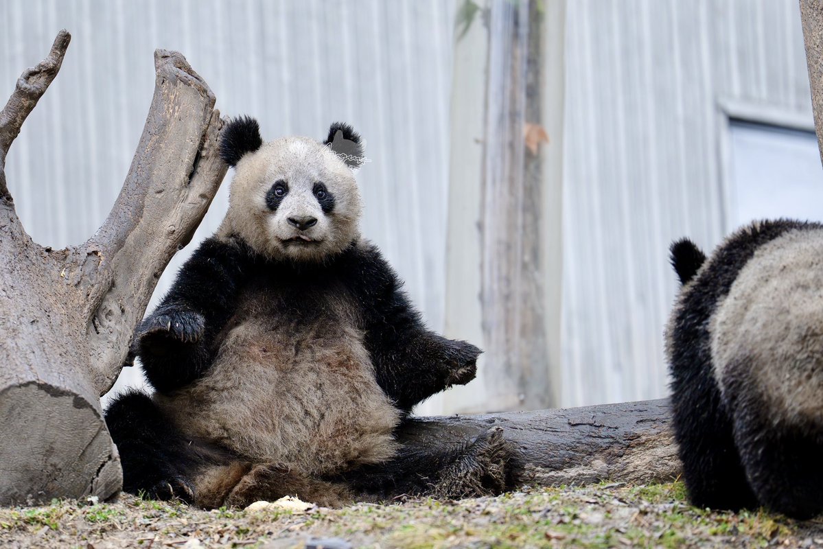 ひー🌱 (@heepan219) / Posts / X