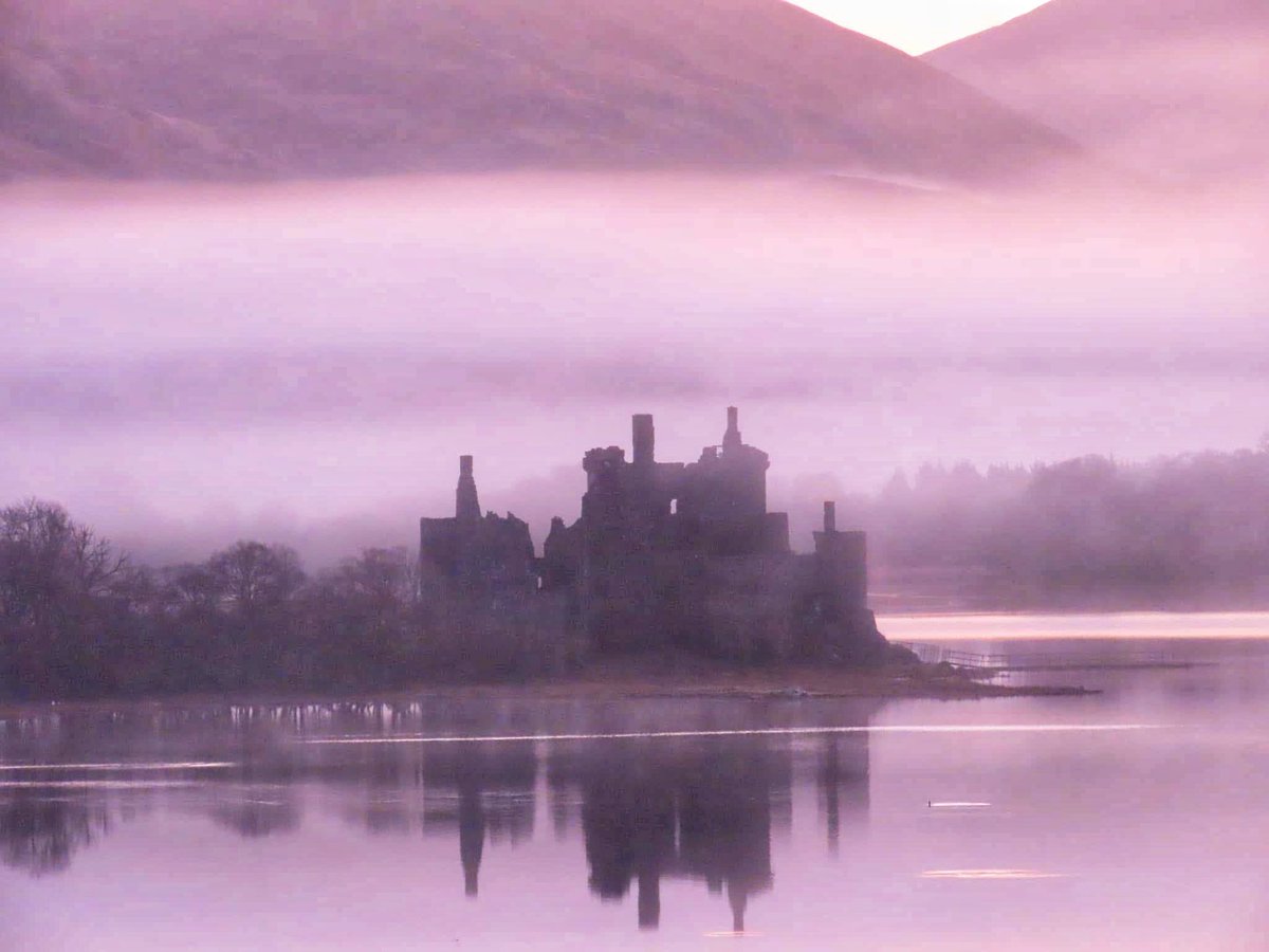 Rose Button tweet media