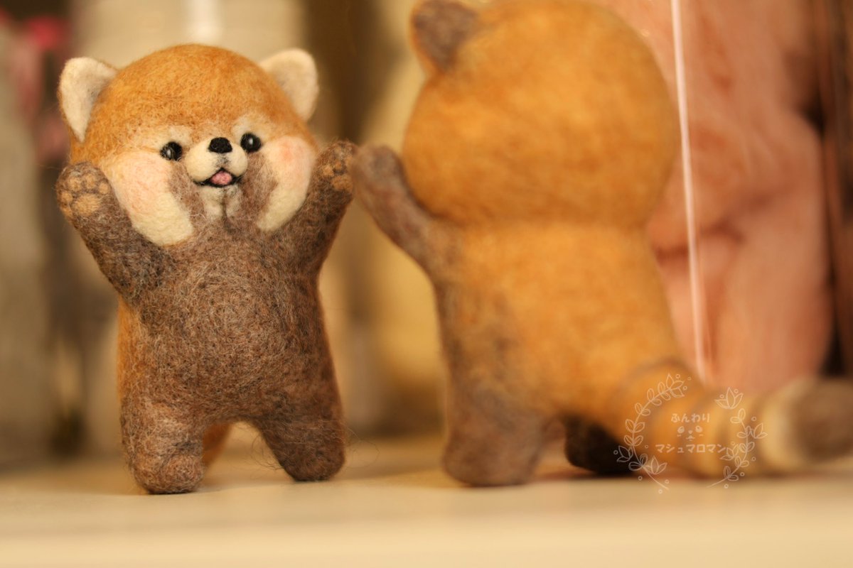 2匹いるから出来る🤭

ぼくはつよいぞー！！

ぼくだってー！！