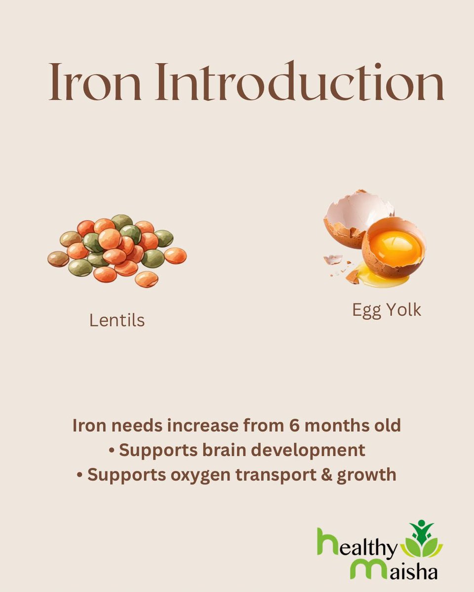 For our first week, we focused on simple, gentle foods that support early development:
🥕 Vitamin A–rich vegetables to support eye health, immune function, and growth
🥑 Healthy fats to support brain and nervous system development
🧠 Early iron exposure to support cognitive