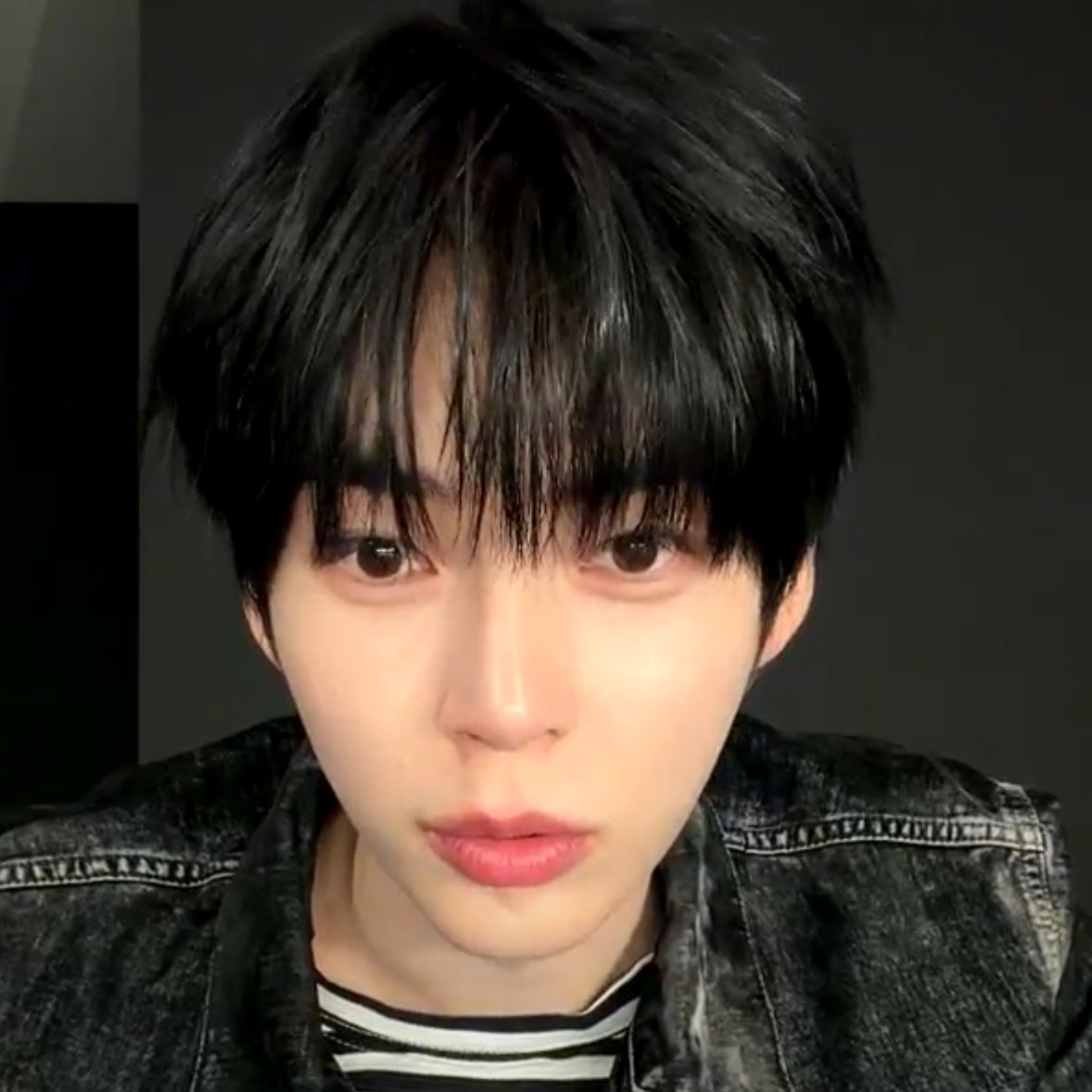 머리카락이 삐쭉삐쭉해서 시골강아지 같앗어