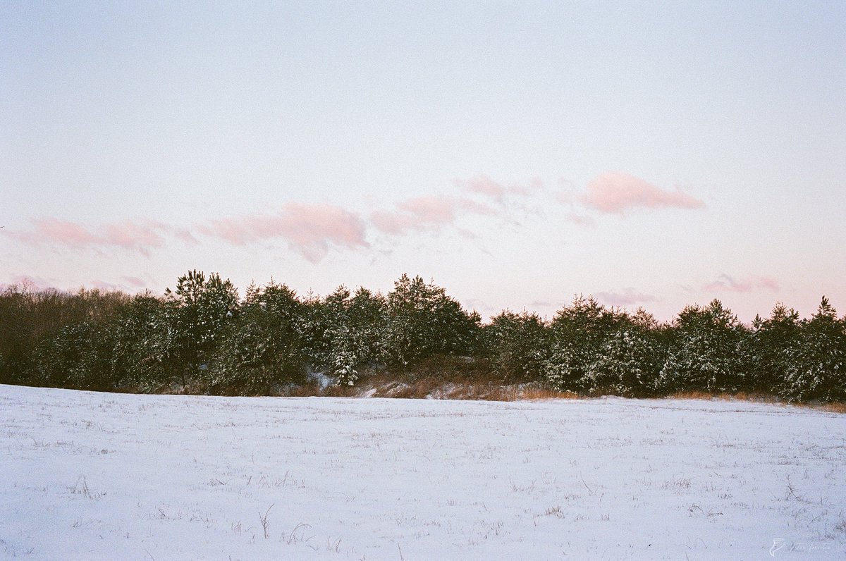 forecaster25's tweet photo. Rural Virginia snow on 35mm film 🎞️ https://t.co/GxU2zIYEtu