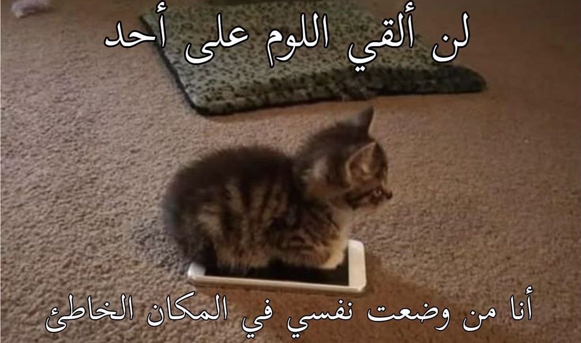 سَما (@lxsems) on Twitter photo 