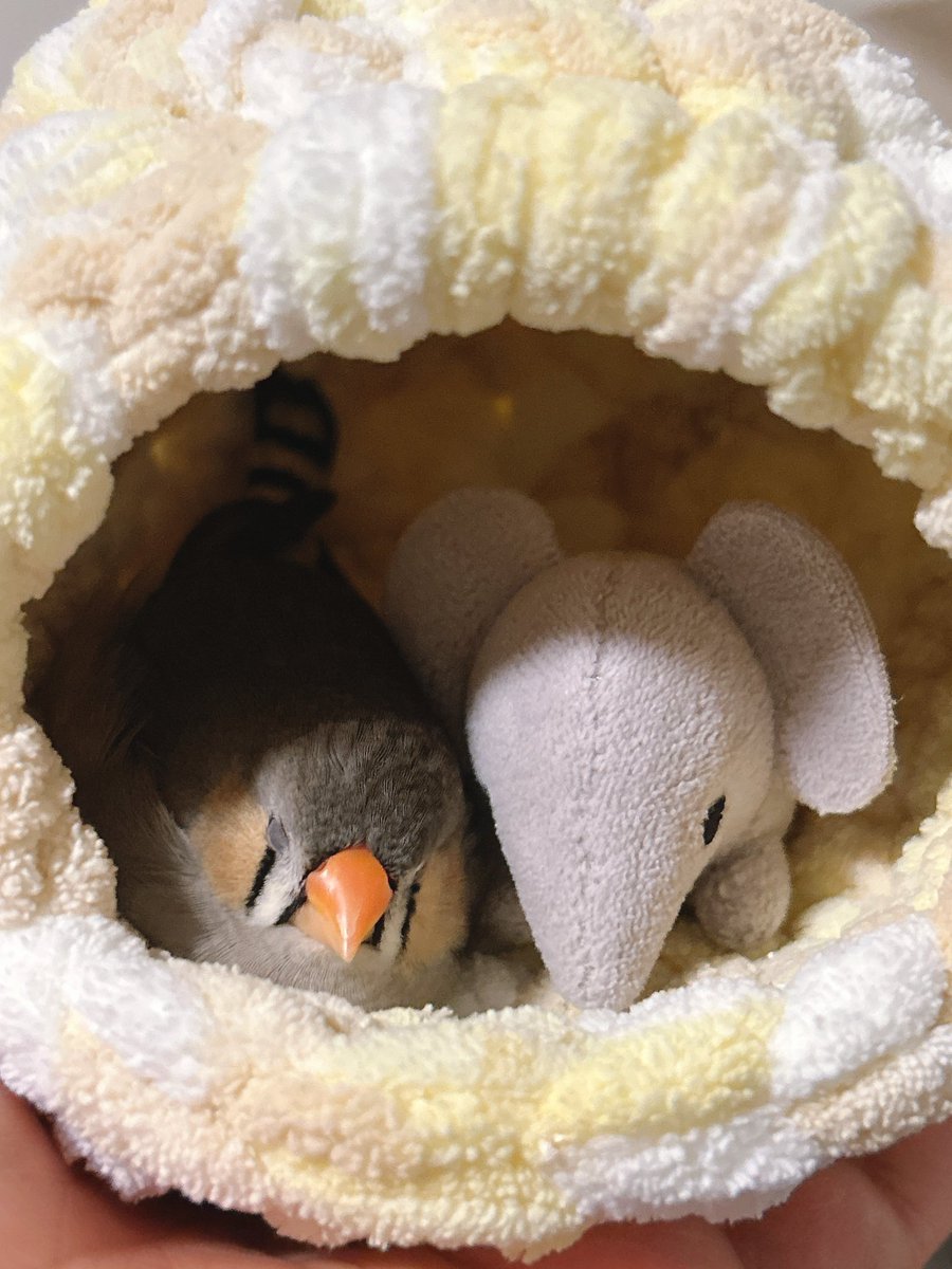 このぬいぐるみに添い寝してもらって早3年半