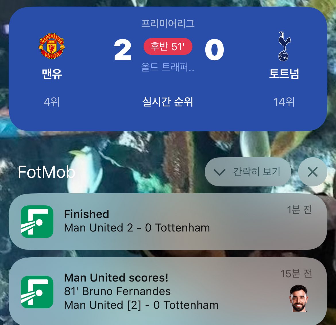 풋몹알람개끼는데
안 좋은 소식만 가득함
토트넘 잘..가시게
