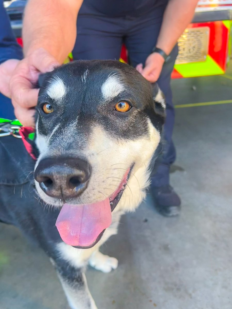 City of Waco, Texas tweet media