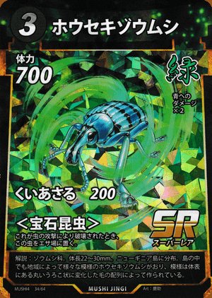 ゾウムシってこの3種類しかおらんの！？！？#蟲神器