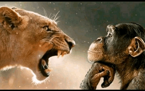 $1000 Switch 4v4 SND #champs w/ <a href="/seryn__/">shine.</a> <a href="/lexTj_/">lexTj_</a> <a href="/nandezcod/">nandëz</a>