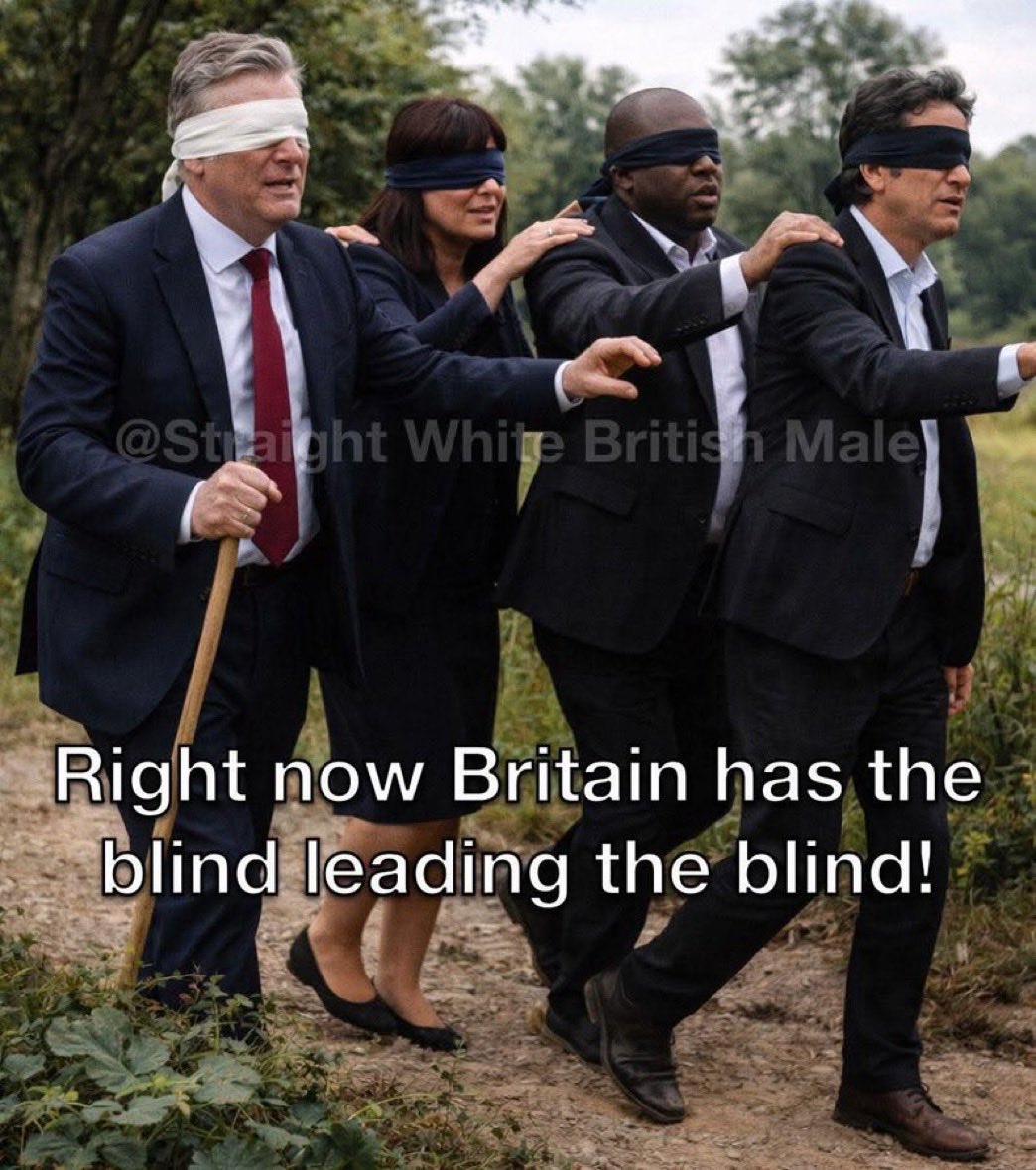 Devonian Bullterrier (@sheikhanvkah) on Twitter photo 