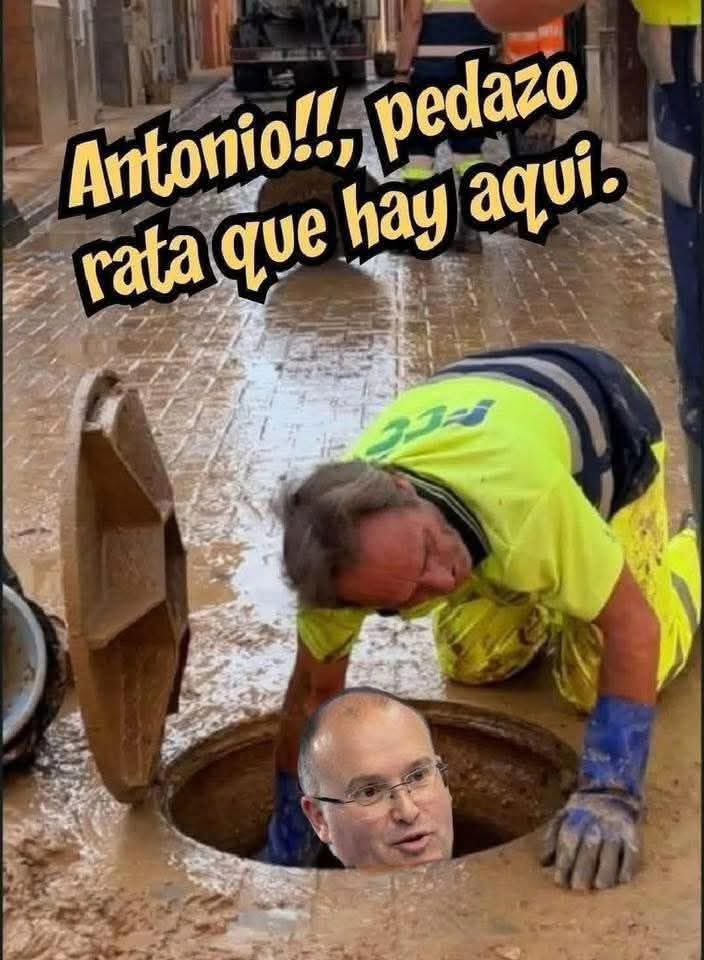 🐀🐀🐀🐀