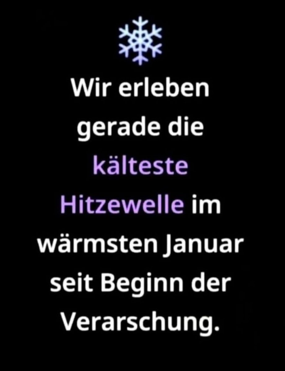 Zuercher B.B (@capecoralgroup) on Twitter photo 