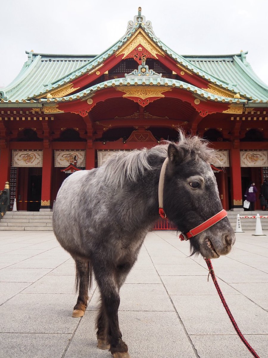 TAMUSA (@TAMUSAEX) / Posts / X