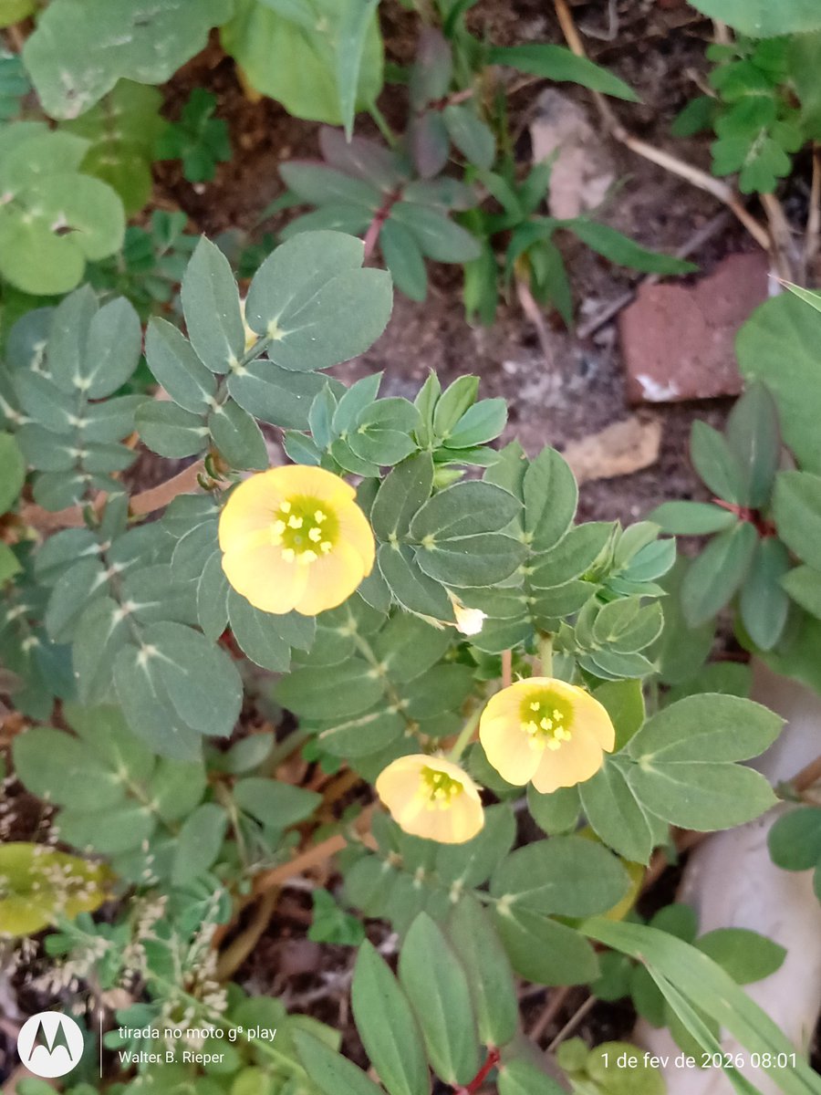 Bom e abençoado dia a todos