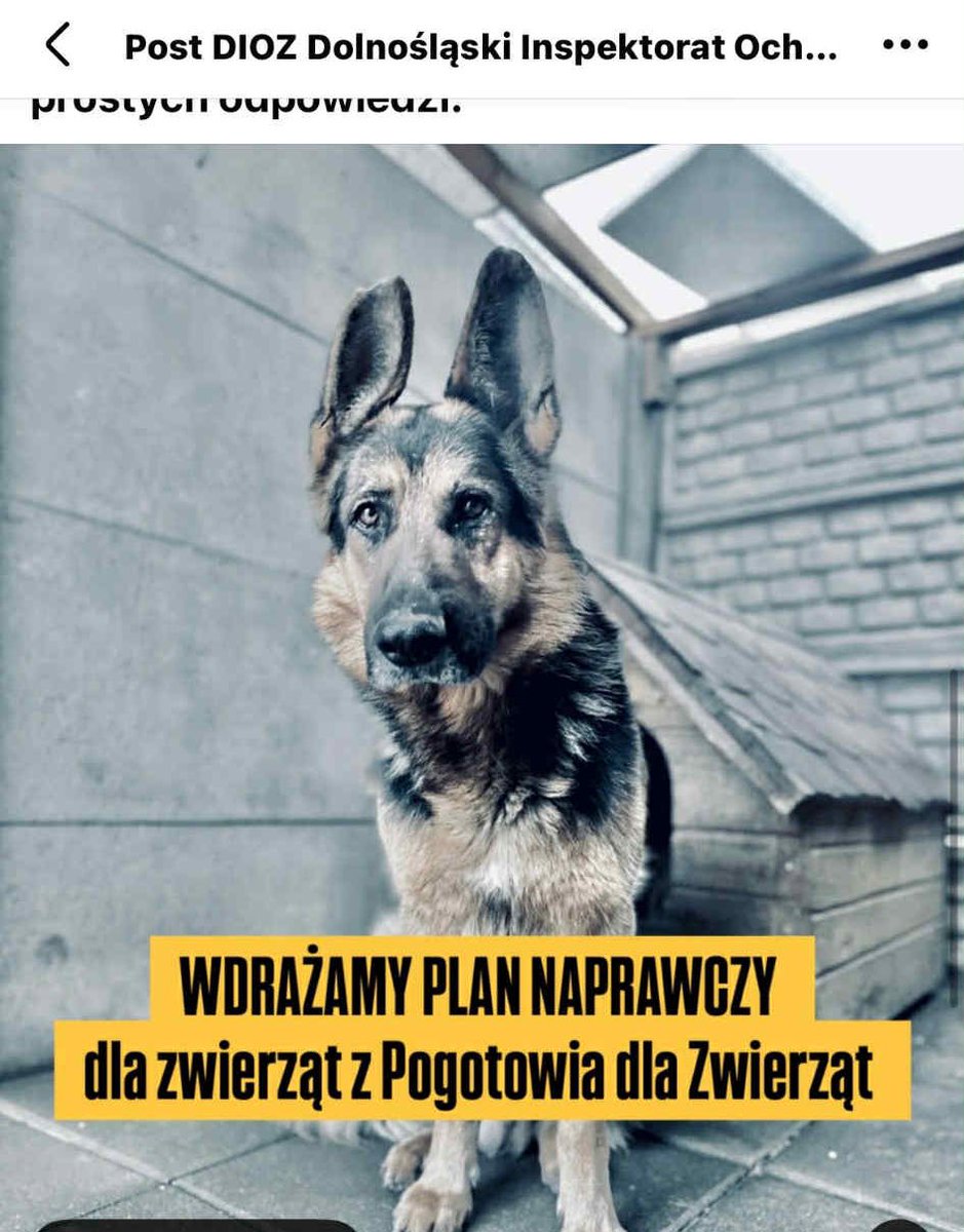 jacekzarzecki tweet media