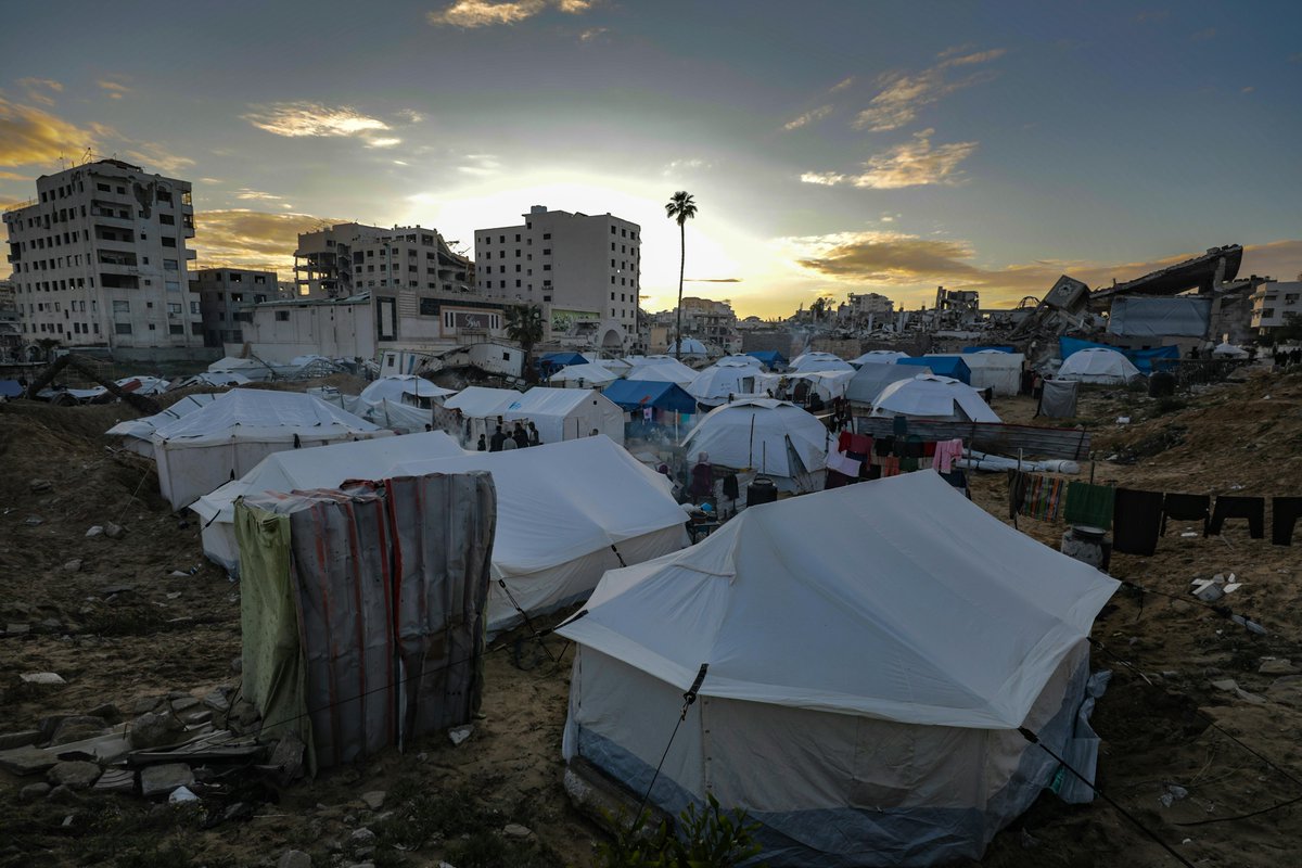 angel_nowar's tweet image. Genocidio a Gaza

Nella notte, bombardamento con l’artiglieria a Rafah e Khan Younis. Gli elicotteri hanno sparato raffiche di pallottole contro le tende a Mawassi. Sono continuate anche di notte le operazioni di distruzione delle costruzioni per raderle al suolo e lasciare ⏬