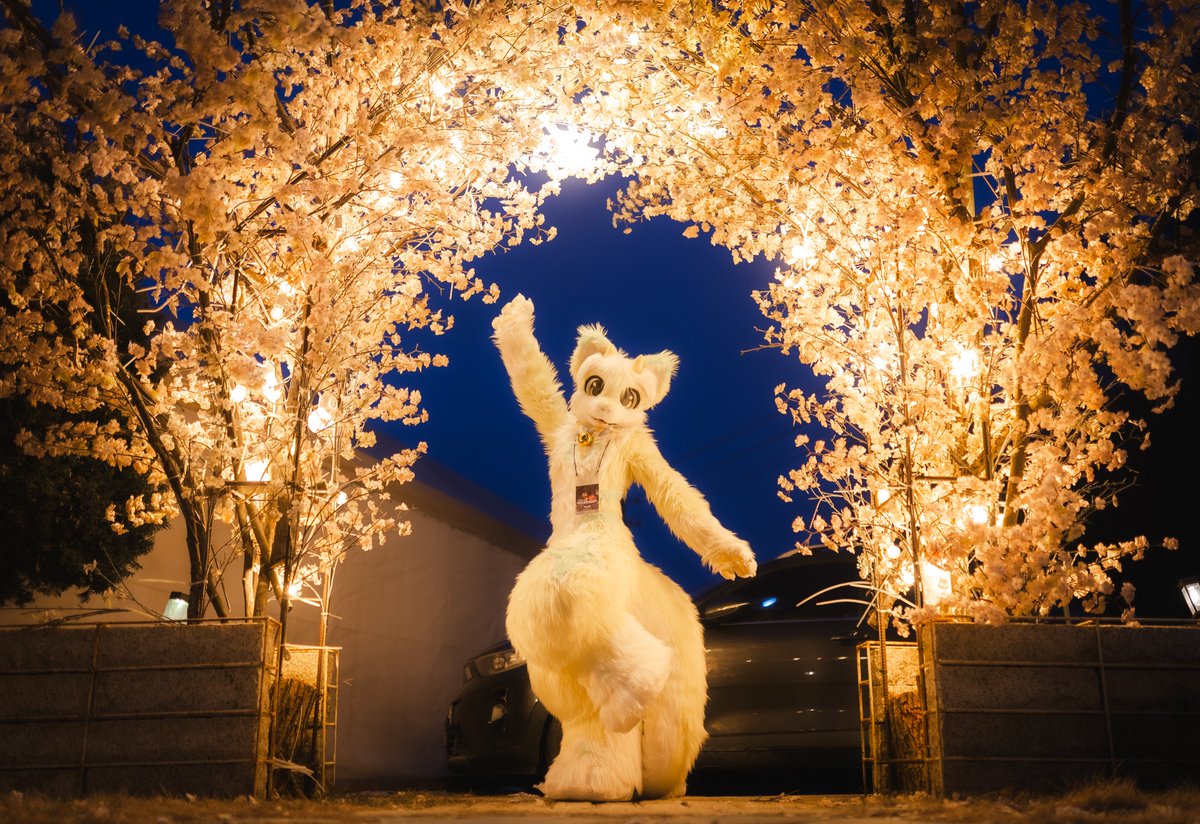 아스티 tweet media