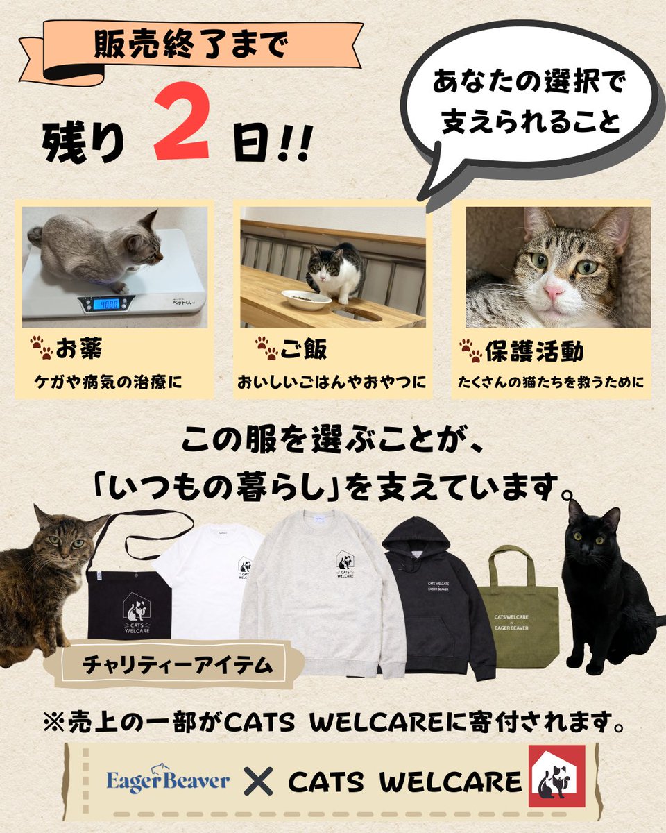 EagerBeaver_co's tweet photo. #EagerBeaver × CATS WELCARE（ @CWelcare 
残り2日⏰
この服を選ぶことが、
ねこたちのお薬やご飯、
保護活動を続ける力になります🐱
いつものお買い物が、
やさしい未来につながります🤍
HP:https://t.co/epI9jpJbPT
#CATSWELCARE #チャリティーアパレル ＃保護猫 https://t.co/04A28SXNjW