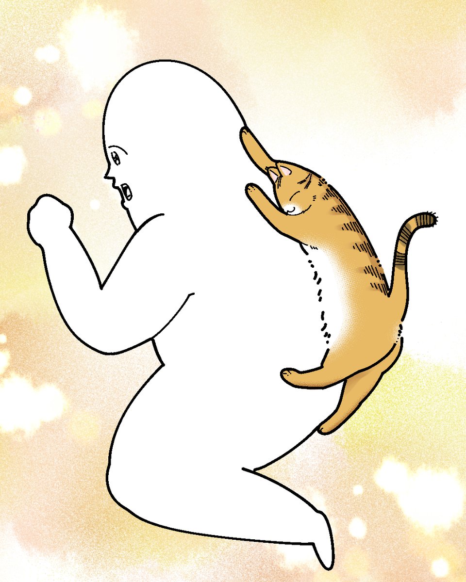 も～ (@mori2ta) / Posts / X