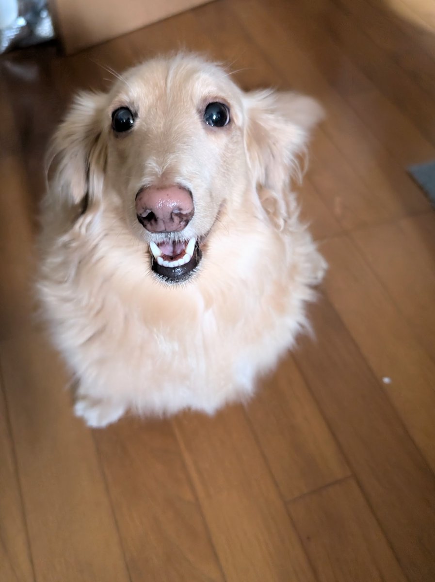 らきぐり tweet media