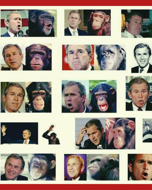 Reta J Murphy 🚫DM'S (@retajmurphy1) on Twitter photo 