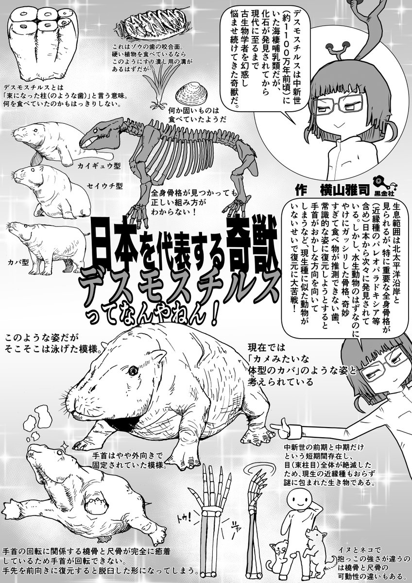 クック先生の動物講座 再掲シリーズ「日本を代表する奇獣 デスモスチルスってなんやねん!」 #クック先生の動物講座 #イラスト #お絵かき  4p新作は(たぶん)明日公開。 