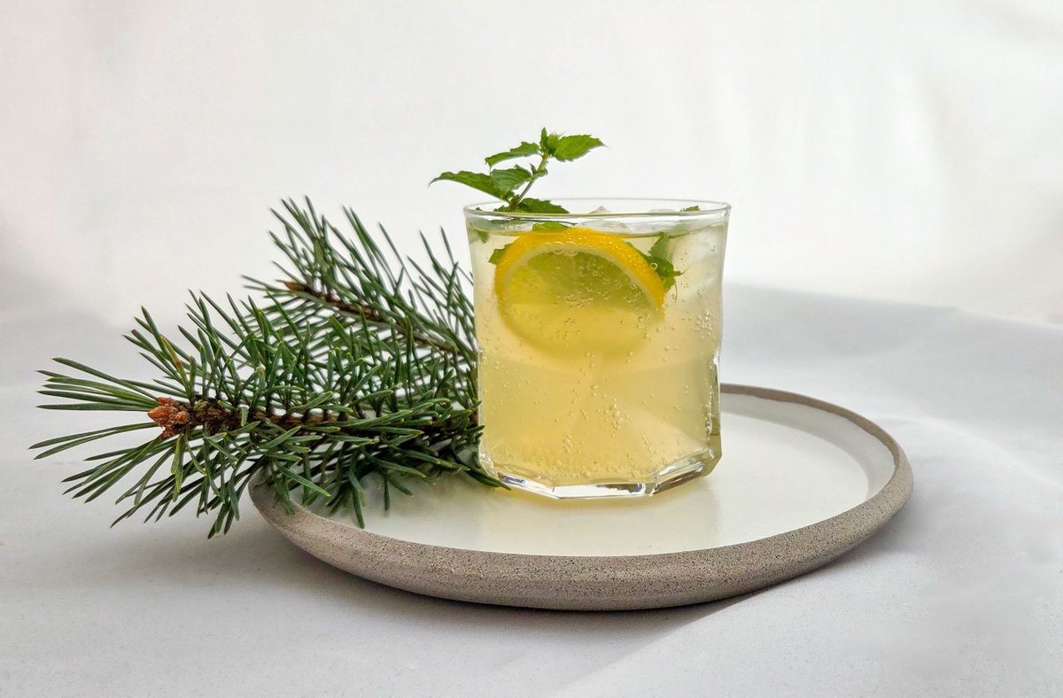 HighlandBndry's tweet photo. Our Scots Pine syrup is a lovely mix of creamy vanilla and citrus notes. It's lovely in still or sparkling water and in cocktails and mocktails. Great over pancakes and in desserts. Celebrate our national tree together. #scotspine #syrups https://t.co/M9qNSjUT6g