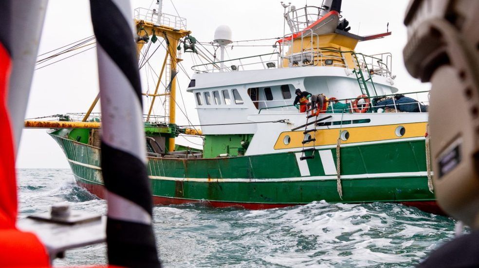 Industrias Pesqueras tweet media