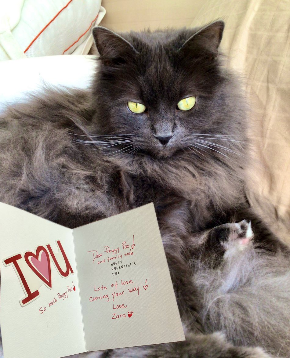 Oooh what a wonderful surprise!!!
A Valentine’s card from my lovely friend Zara <a href="/NPR57744730/">Zara/NPR</a> 
Thank you so much I love youuuu!!😽♥️😽♥️
Much love to you and your family!♥️♥️♥️