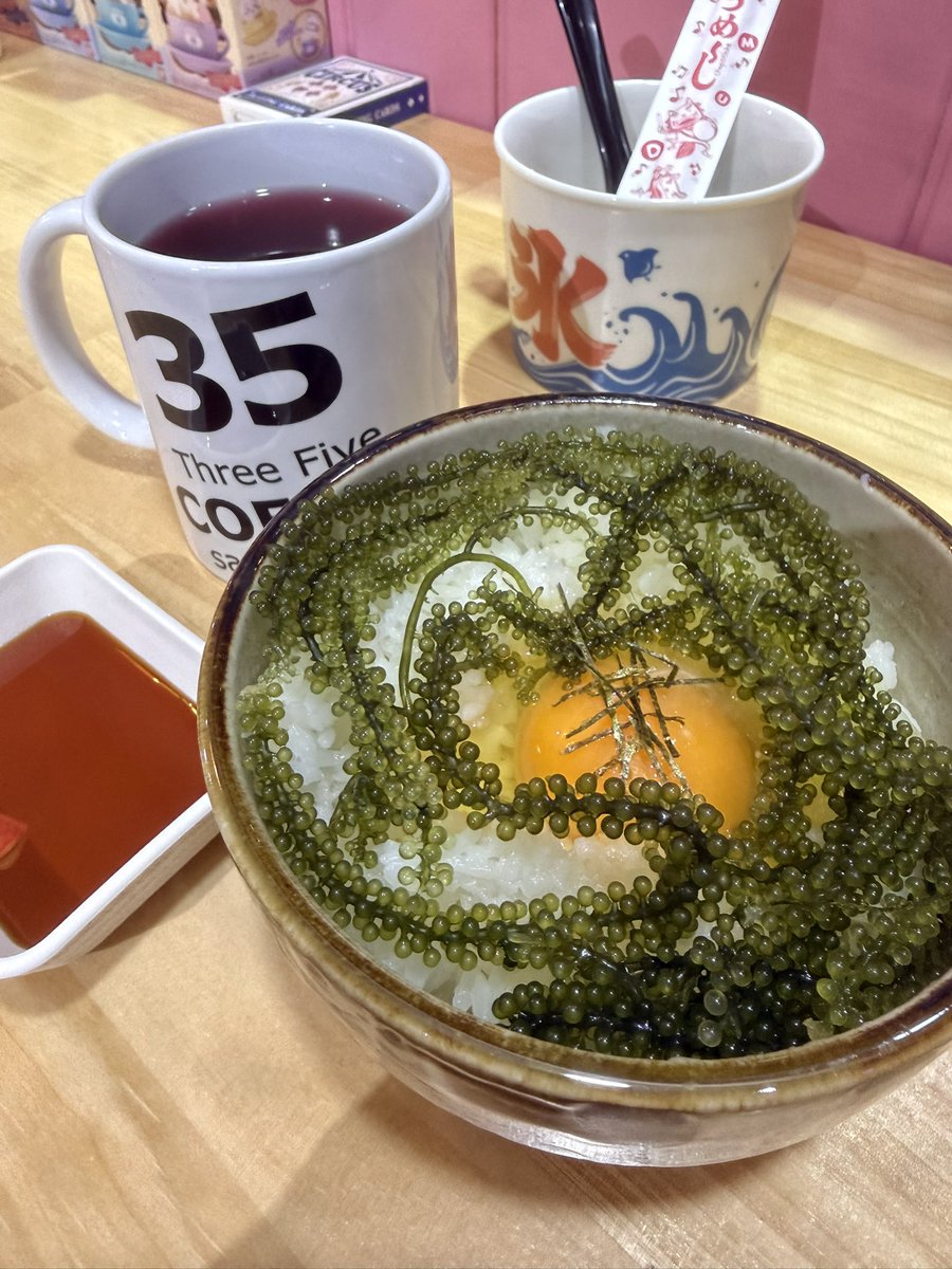 ゆうこりん (@yuukorin0527) / Posts / X