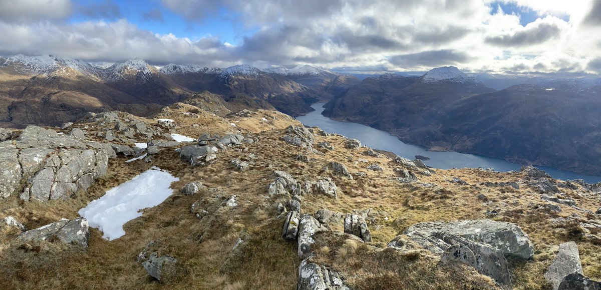 Hazel Strachan tweet media