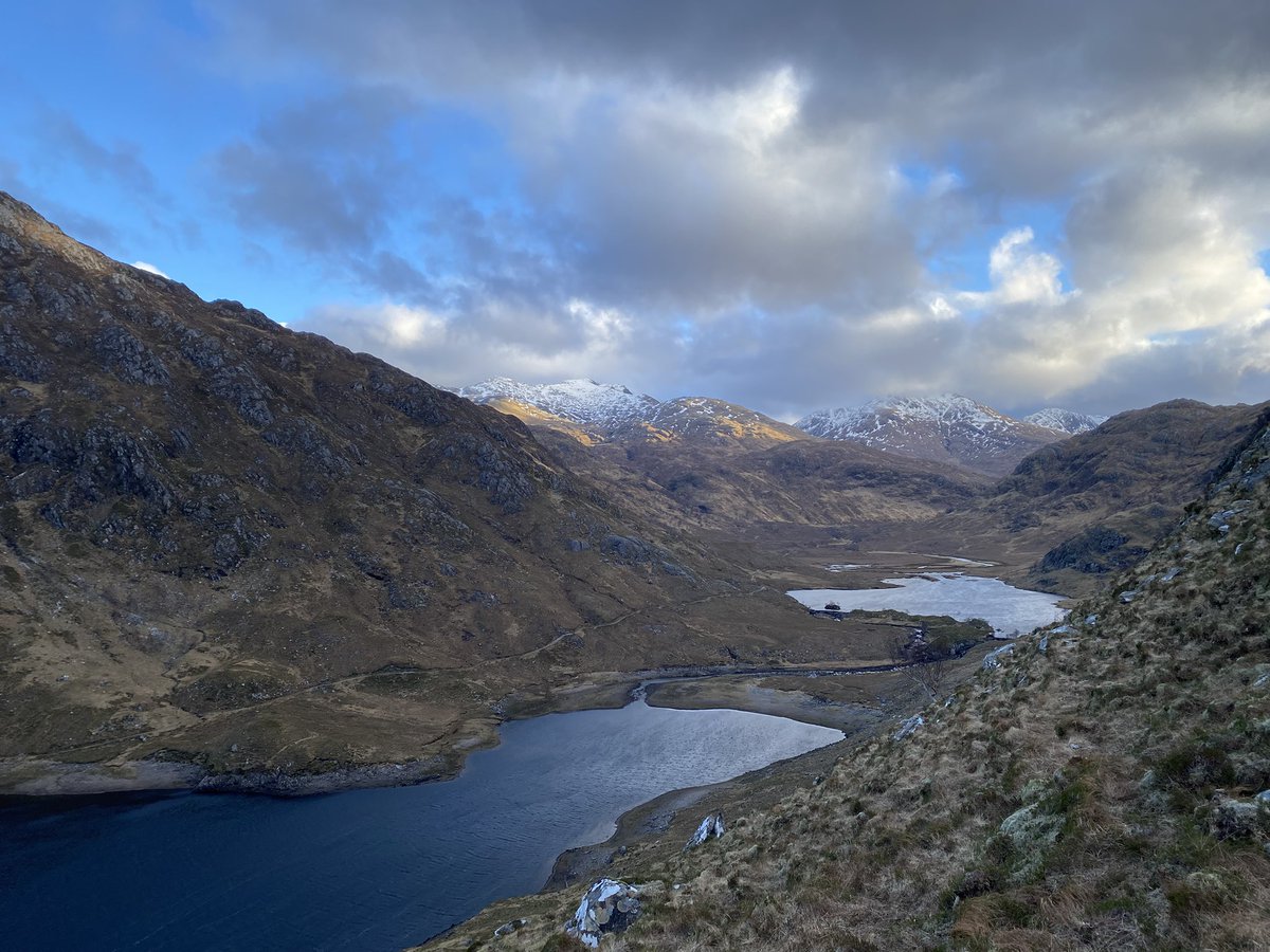 Hazel Strachan tweet media