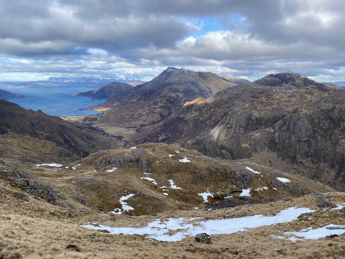 Hazel Strachan tweet media