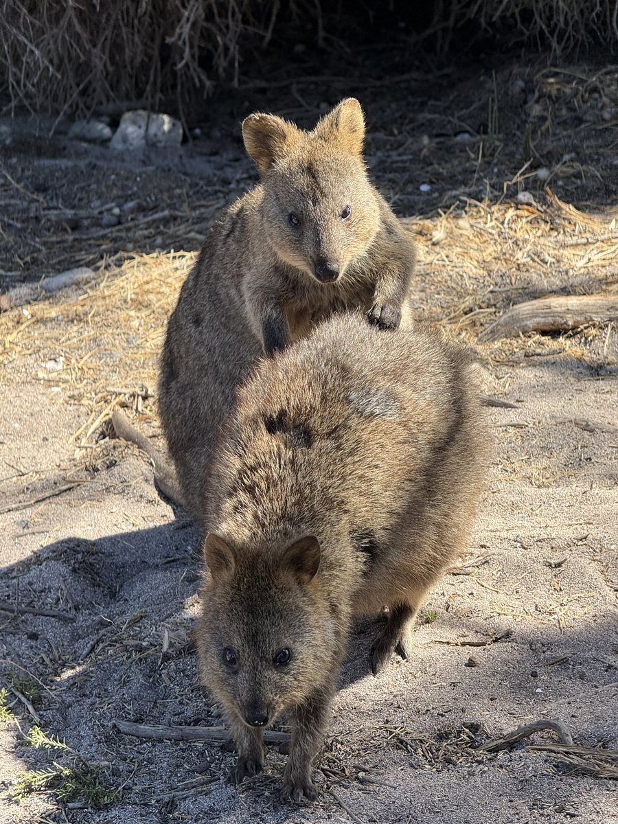 AstroRongjun tweet media