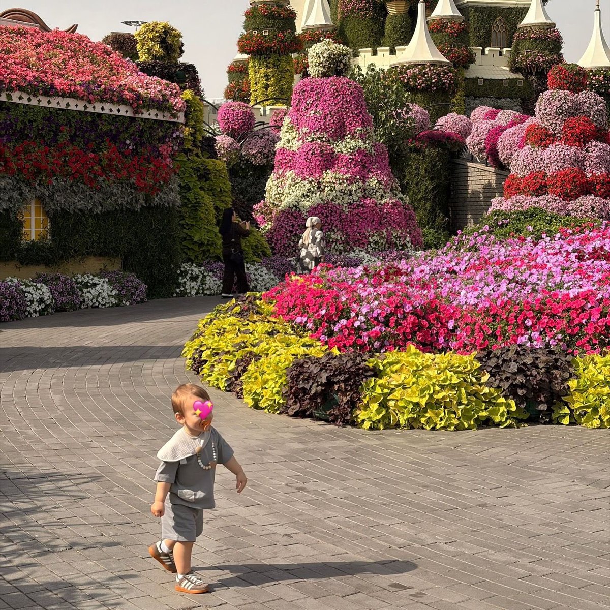 Lobanjica tweet media