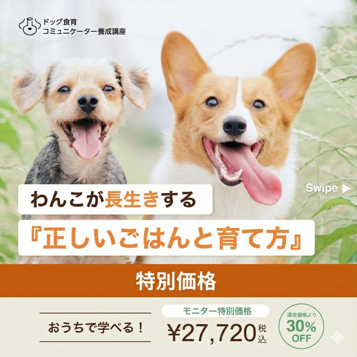 石原奈津子 tweet media