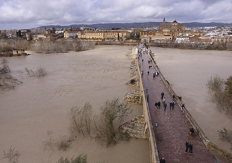 Alerta en Sevilla y Andalucía por lluvias, vientos y tormentas, en directo: última hora de las inundaciones, carreteras cortadas, desalojos y avisos de la Aemet abc.es/espana/andaluc… vía @ABCespana