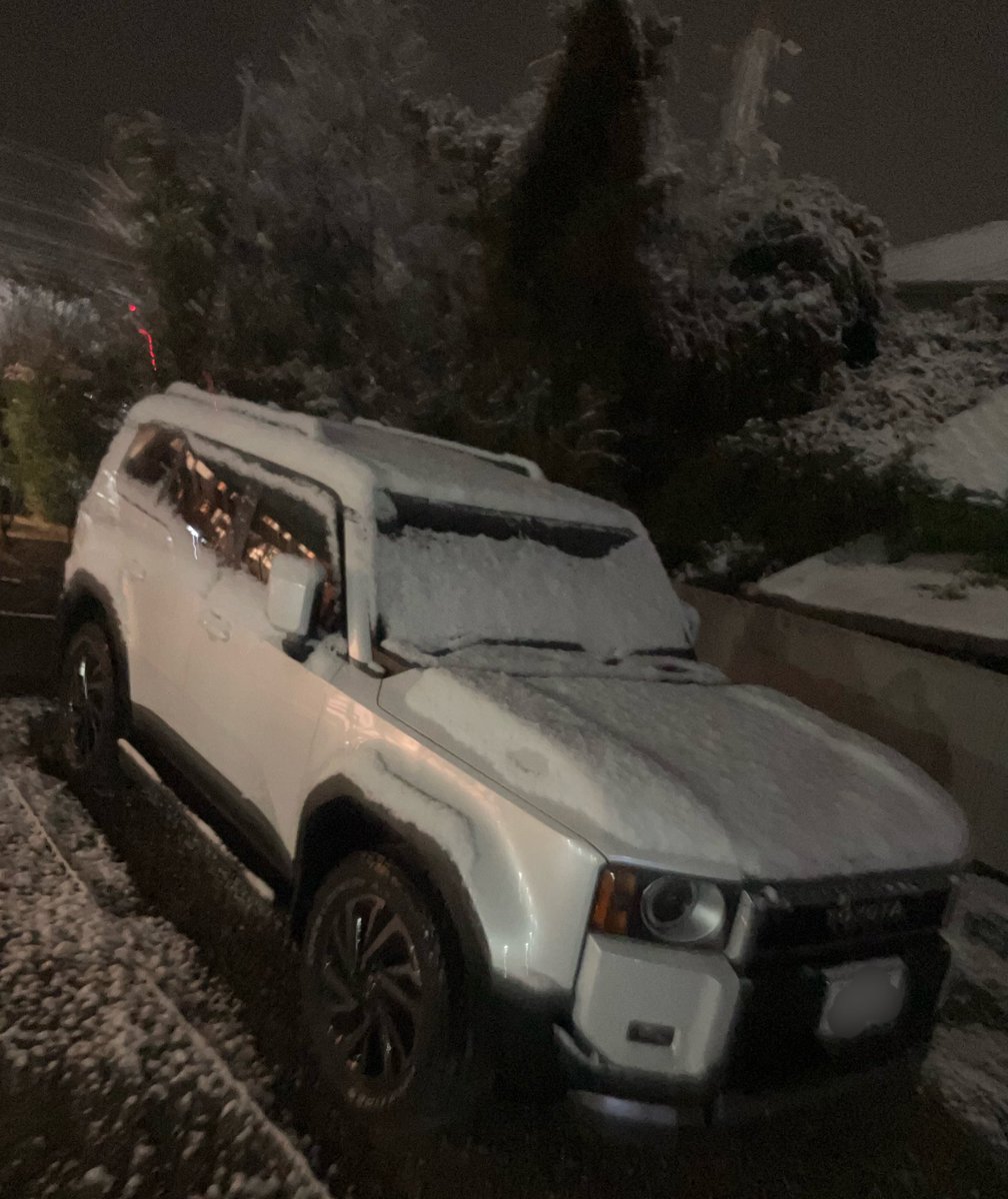 出かけている合間に雪積もった❄️