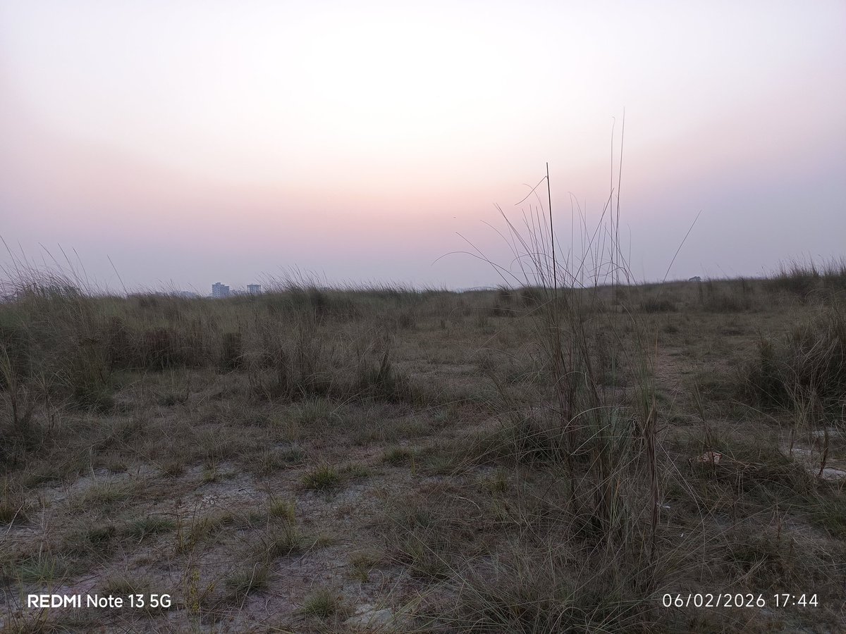 jebin Akter tweet media